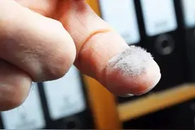 眼不见不为净 藏在你家里的过敏原图片