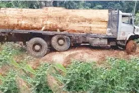 12吨的货车，还能在泥泞路上跑出100码的速度，老司机都不敢看视频封面