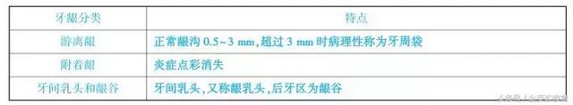 结合上皮有没有角化和钉突