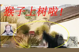 绝地求生：绝地求生最新上树教程，玩家居然可以上树啦！！
