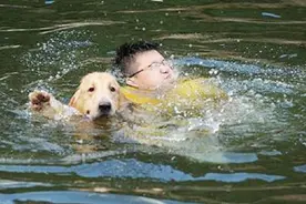 为什么狗天生会游泳？原因全在这，网友：恍然大悟