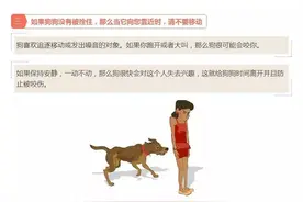 四个小技巧，防止被狗咬图片