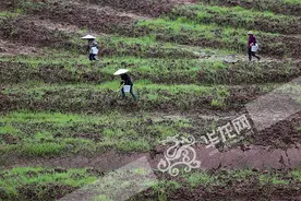 重庆万州交出脱贫成绩单 94个贫困村7万余人成功“摘帽”图片