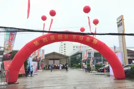 全品牌交响乐第一奏 园区东环车展轰动苏城图片