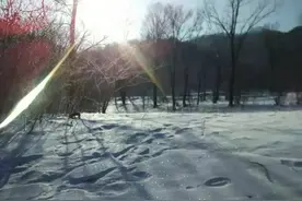 雪的浪漫和恐惧图片