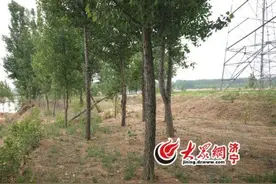 济宁：高压线塔无警示标识 记者采访供电公司遇空城图片