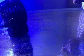 海缸变盘丝洞，难道是缸里来了蜘蛛精？图片