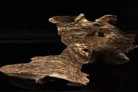 收藏必看 简单3步教你鉴别沉香真假！图片