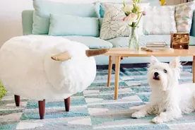 用这些百变储物凳，家里大写的干净图片