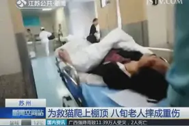 八旬老人为救猫爬上棚顶 摔成重伤图片