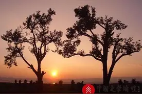 宿命里注定的一场尘缘图片