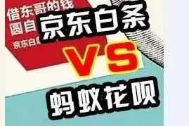 京东白条PK蚂蚁花呗 分期付款究竟谁更划算？图片
