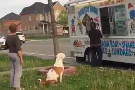 狗狗懂得乖乖排队买冰激凌，妈妈告诉它不能插队图片