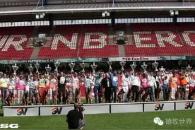 原创 为德牧比赛而痴狂图片