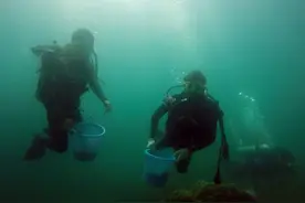 世界环境日：关注海洋健康 守护蔚蓝星球图片