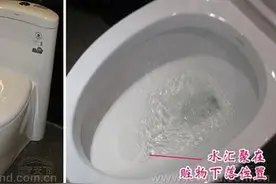 马桶溅水怎么办？七大神招颠覆世界观图片