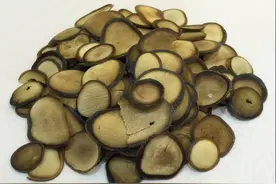 正确认识鹿茸，及其用法功效和注意事项图片