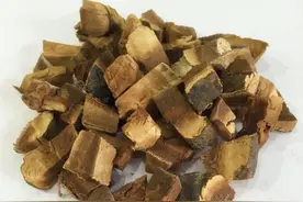 正确认识灵芝，及其用法和功效图片