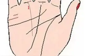 这四类手纹财运顺心无阻，事业有成赚得盆满钵满图片