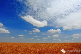 高考结束，你的旅行才刚刚开始！肯尼亚7日自驾游图片