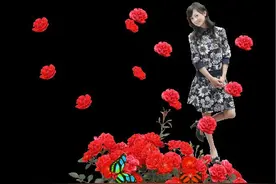 人心换人心  清君原创图片