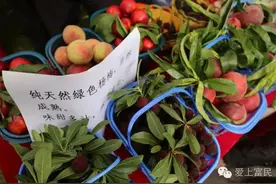昆明富民杨梅节来了，吃好杨梅不用去远方，约吗?图片
