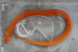 这橘黄色像蛇的动物，出现几率千万分之一，真实身份让人不敢信图片