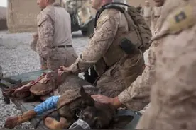 我是你人生的过客，你是我人生的全部图片