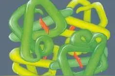 分解别人的主儿会自行分解？图片