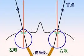 简单有趣的心理游戏：为什么东西就在眼前你却看不到？图片