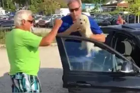 男人公然用大石块砸车窗竟获掌声的原因~图片