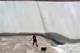 五人拉手下到水流湍急的河里，只为了救一只流浪狗图片