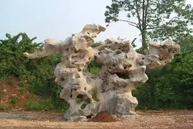 又名窟窿石的太湖石，拥有随处可见浑然天成之美图片