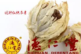 正确认识雪莲功效，及其禁忌和药膳图片