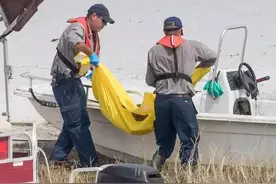 当我们为被鳄鱼拖走的男孩感伤时，是否忽略了那4条遭剖腹的鳄鱼图片