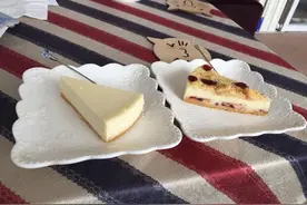 搜遍全城的[猫咪咖啡店]全在这里了~图片