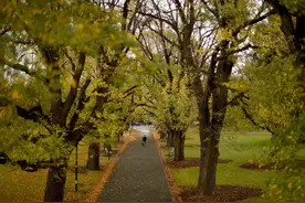 墨尔本的冬天图片