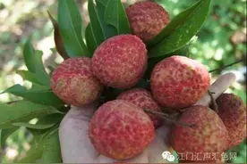 这样的荔枝你还敢买？黑心商贩竟然喷不明液体。。。图片