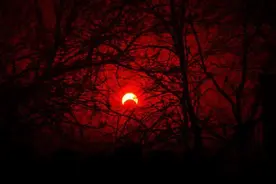 前世的孽债，唯有今生来偿还图片