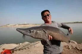 钓鱼人，你敢挑战这条巨物吗？图片