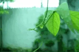 你有多坚持，你就能有多成功图片
