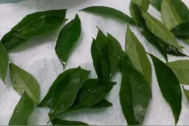 鸡皮果叶做成的这道美食，味道奇异却让人爱不释手图片