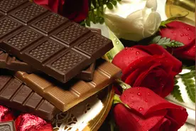 生活中有哪些常见食物不能给狗狗误食！图片