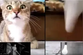 喵星人非要挤在一起看恐怖片，结果被吓飞了，吓飞了，飞了图片