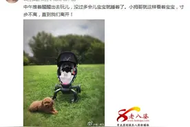 章子怡女儿熟睡小狗守护 网友:场面太温馨图片