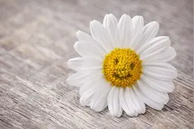 我们都是千疮百孔的恋人图片