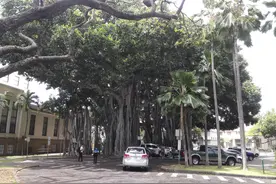火奴鲁鲁（Honolulu）——檀香山掠影图片