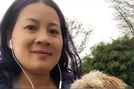 被给予第二次生命的小灰灰图片