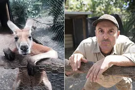 超级模仿show，这些动物和主人真是超级像，谁模仿谁？图片