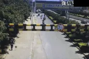 千万不要在马路上！运球！图片